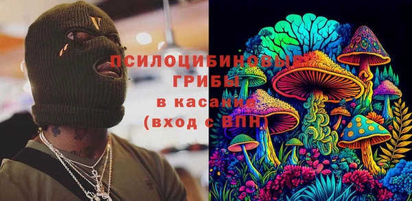 молекула духа Покачи