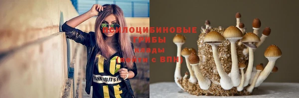 шишки Покров
