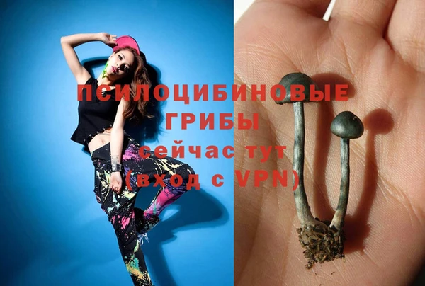 шишки Покров